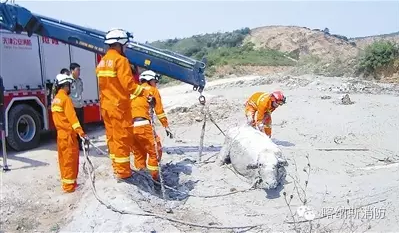 ��ٹ����ţ����̶������(l��i) ��������܇(ch��)���Ρ�ţ