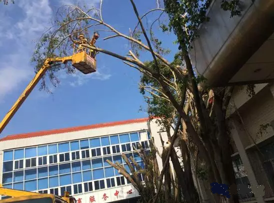 ���I(y��)܇