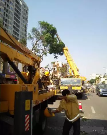 ���I(y��)܇