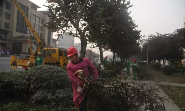 高空作業(yè)車