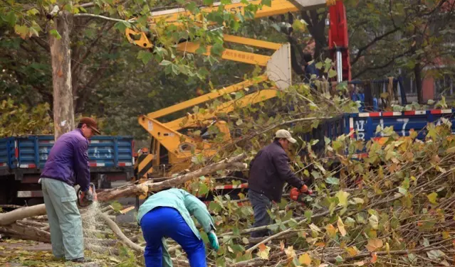 �߿����I(y��)܇