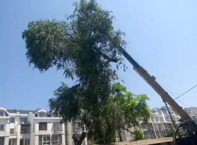 �߿����I(y��)܇