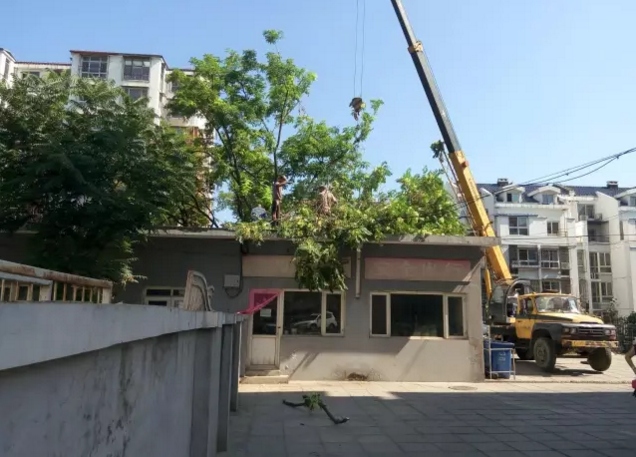 �߿����I(y��)܇