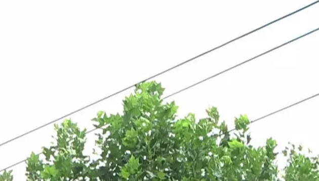 高空作業(yè)車