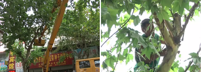 高空作業(yè)車