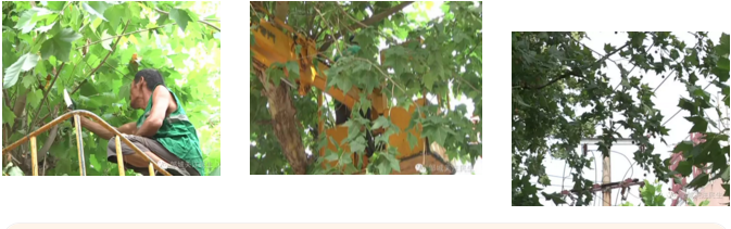 高空作業(yè)車